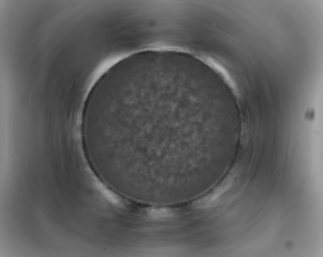 X0000102391231200808011552