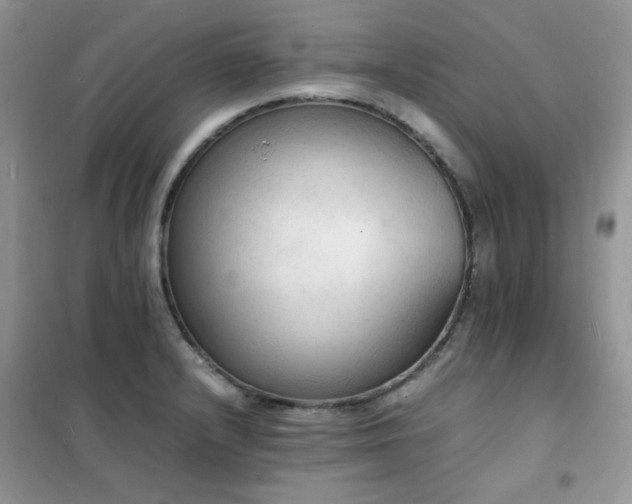 X0000102391232200808011552