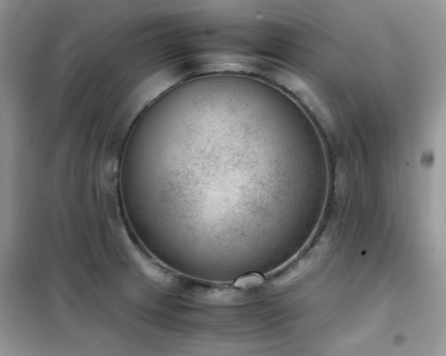 X0000102391233200808011552