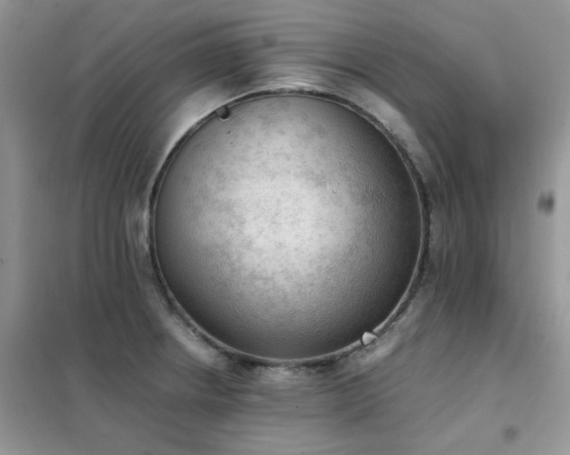 X0000102391234200808011552