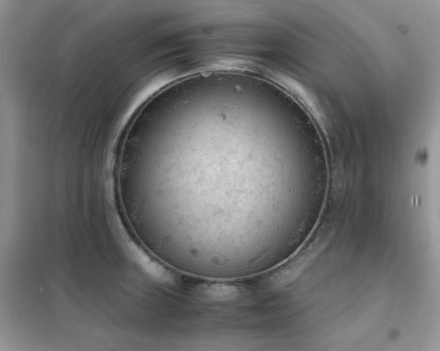 X0000102391235200808011552