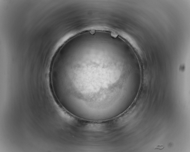 X0000102391237200808011552