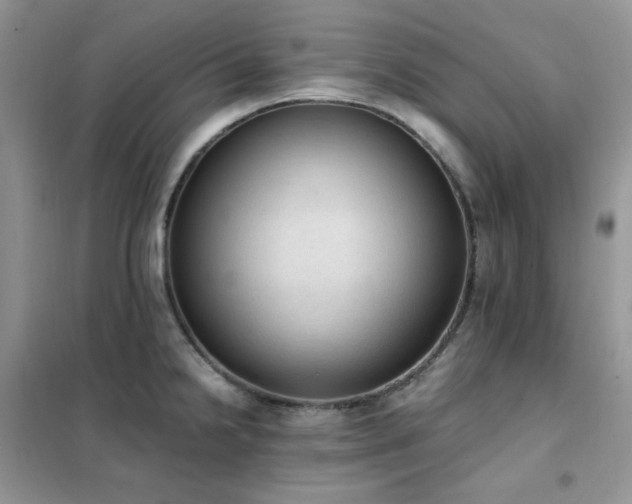 X0000102391238200808011552