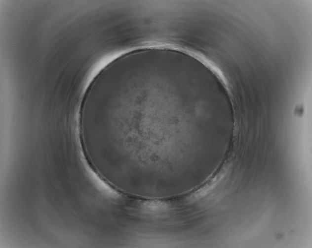 X0000102391239200808011552