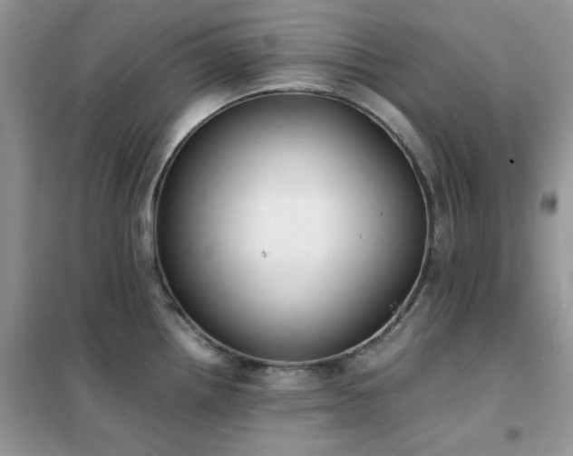 X0000102391242200808011552