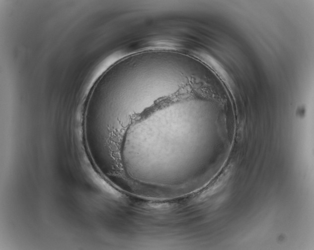 X0000102391243200808011552