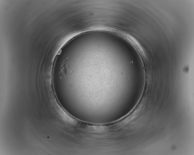 X0000102391244200808011552