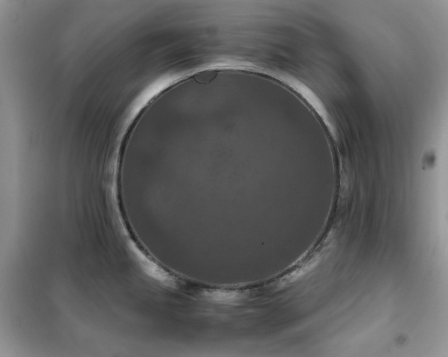 X0000102391245200808011552