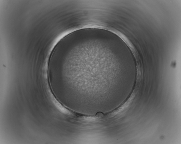 X0000102391246200808011553