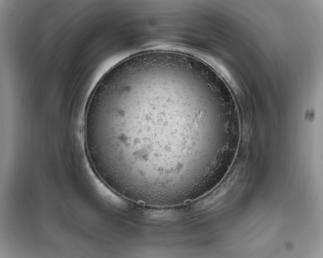 X0000102391247200808011553