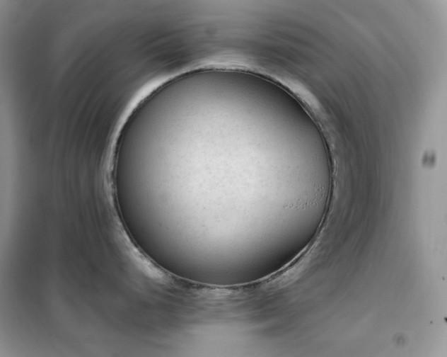 X0000102391248200808011553