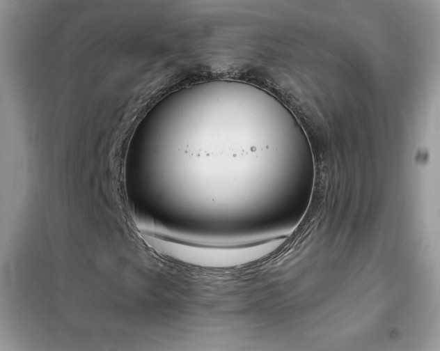 X0000102391249200808011552