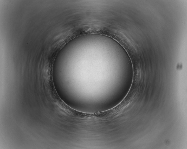 X0000102391250200808011552