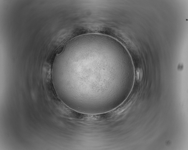 X0000102391251200808011552