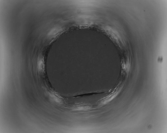 X0000102391252200808011552