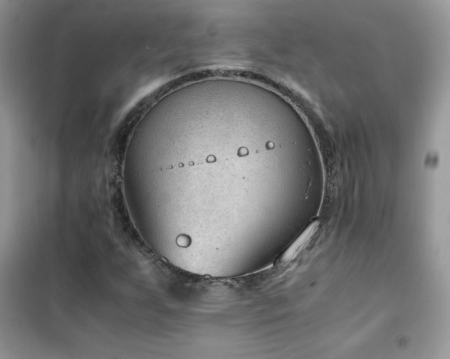 X0000102391255200808011552