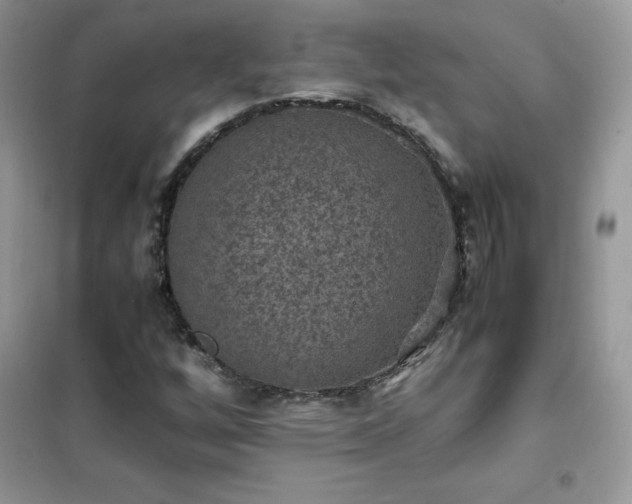 X0000102391256200808011552