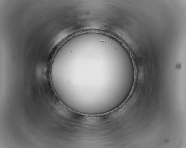 X0000102391258200808011552