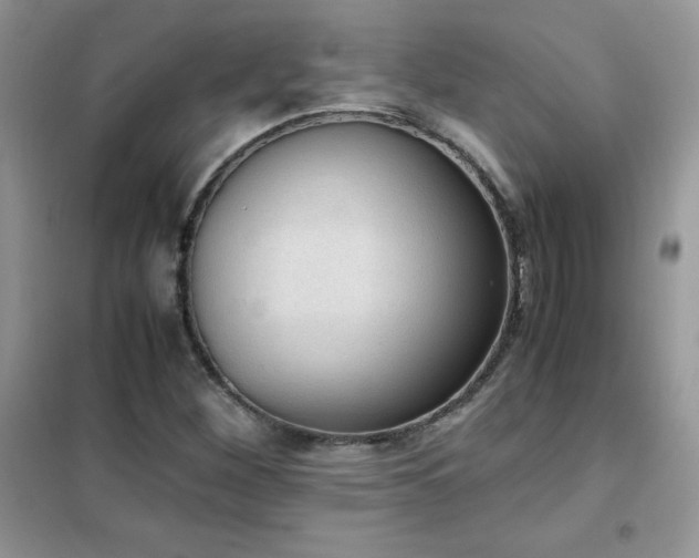 X0000102391260200808011552