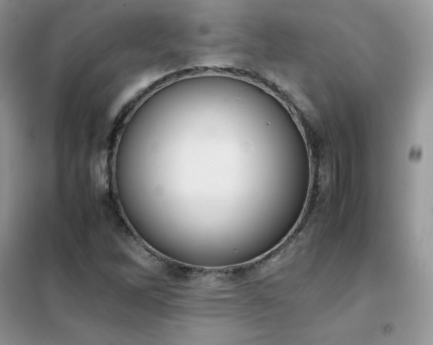 X0000102391262200808011552