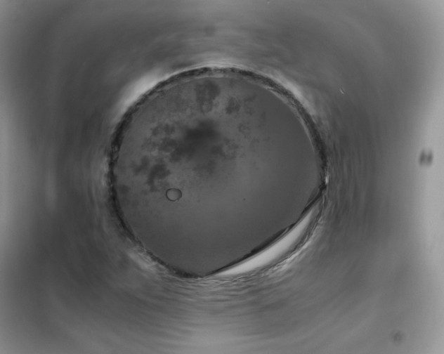 X0000102391263200808011552