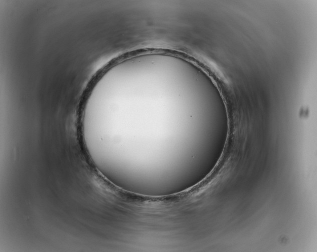 X0000102391264200808011551