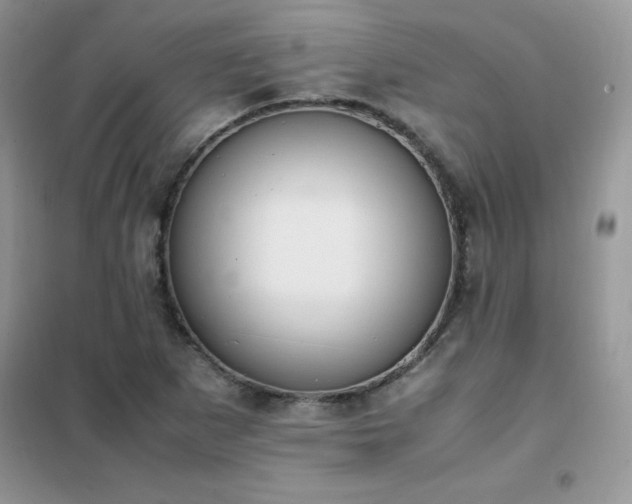 X0000102391265200808011551