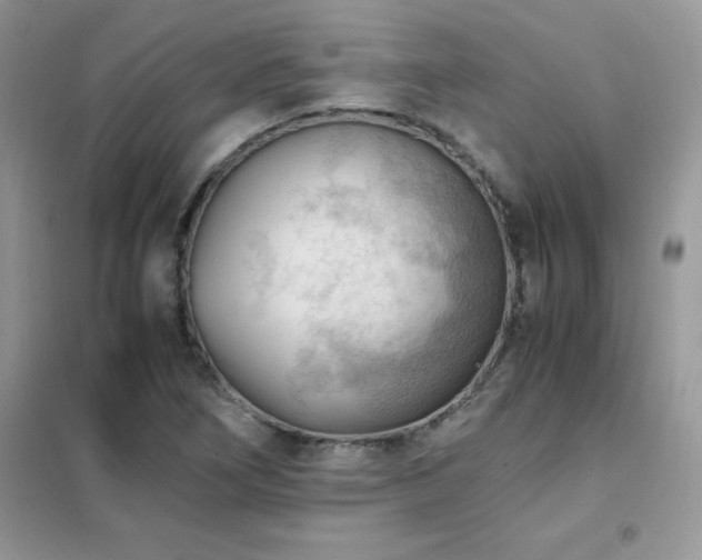 X0000102391266200808011551