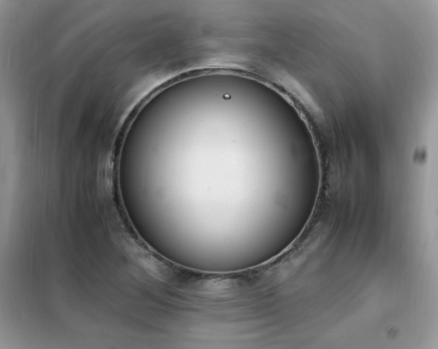 X0000102391268200808011551