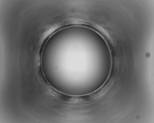 X0000102391269200808011551