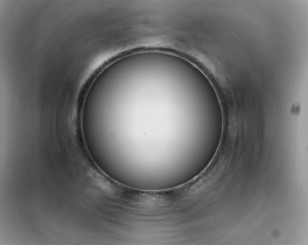 X0000102391270200808011551