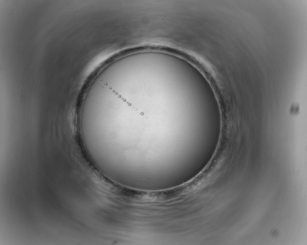 X0000102391271200808011551