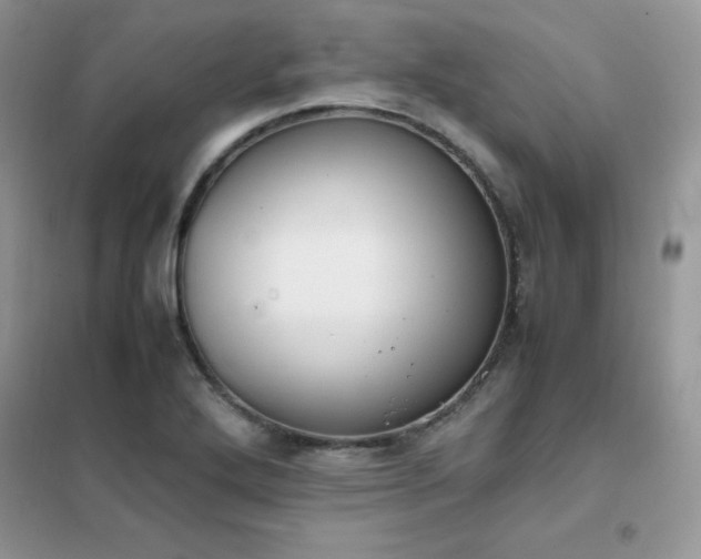 X0000102391272200808011551