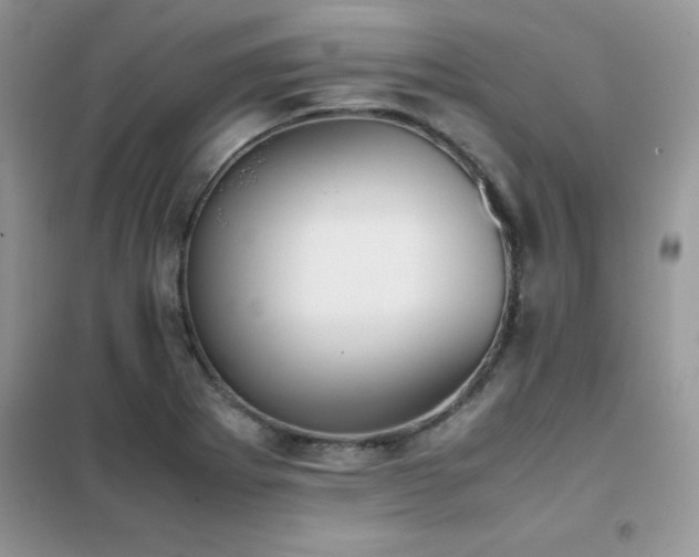 X0000102391273200808011551