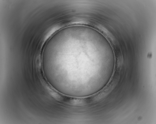 X0000102391274200808011551