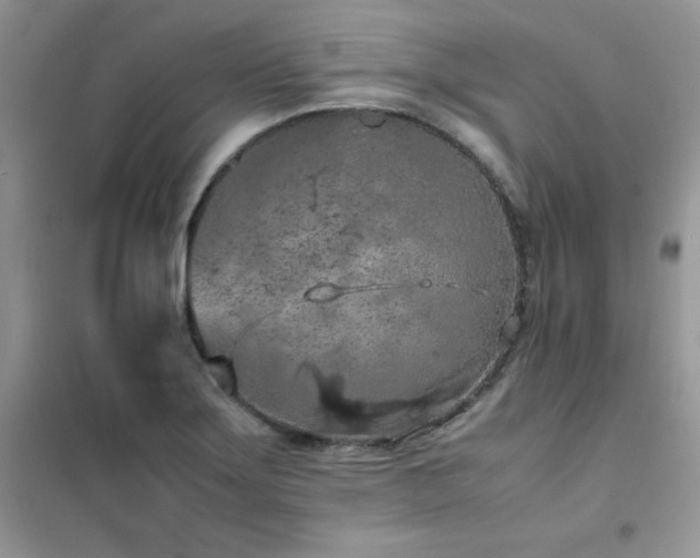 X0000102391275200808011551