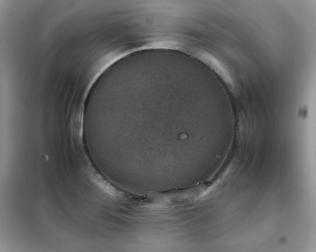 X0000102391276200808011551