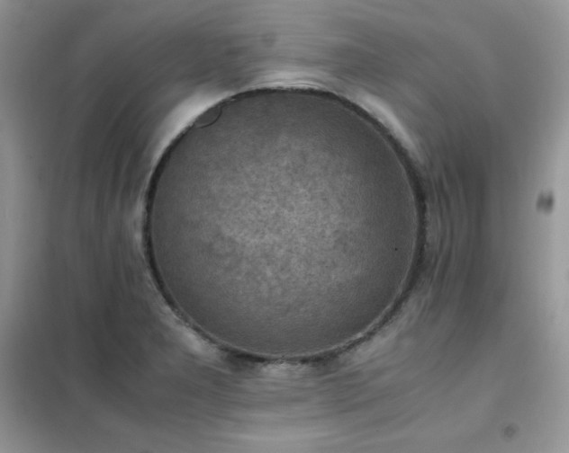 X0000102391277200808011551