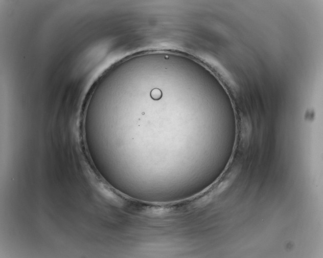 X0000102391278200808011551