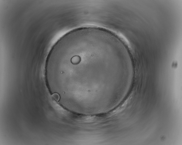 X0000102391279200808011551