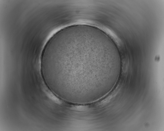 X0000102391280200808011551