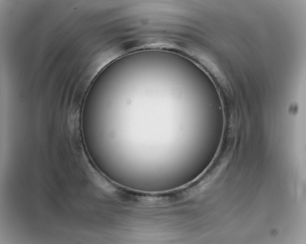 X0000102391281200808011551