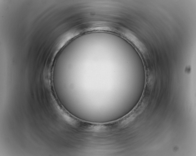 X0000102391282200808011551