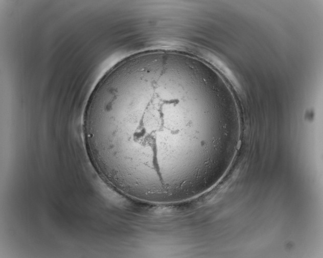 X0000102391283200808011551