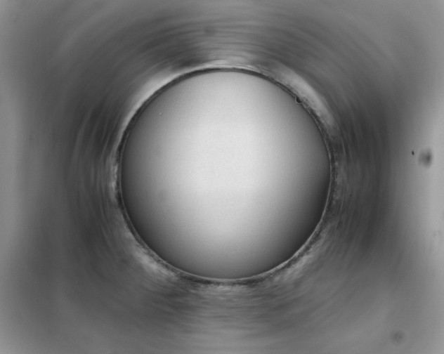 X0000102391284200808011551