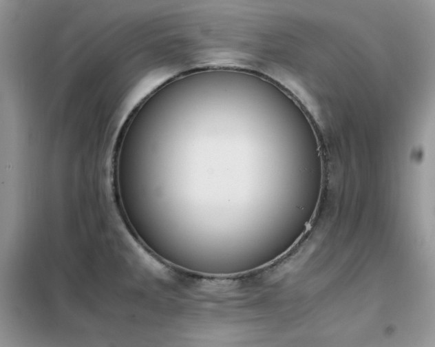 X0000102391285200808011551