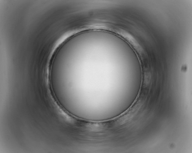 X0000102391286200808011551