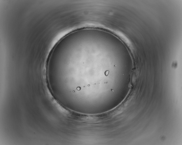 X0000102391287200808011551