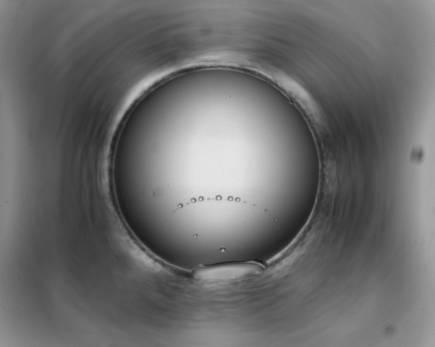 X0000102391288200808011551