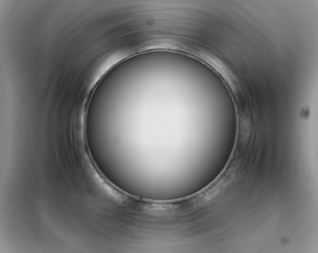 X0000102391290200808011551